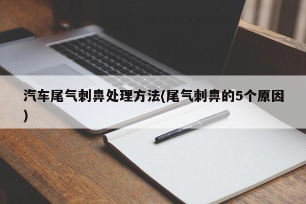 汽车尾气刺鼻处理方法(尾气刺鼻的5个原因)