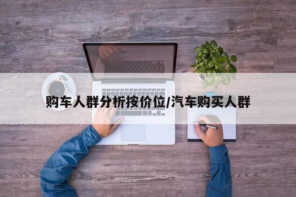 购车人群分析按价位/汽车购买人群