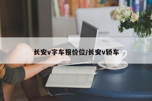 长安v字车报价位/长安v轿车
