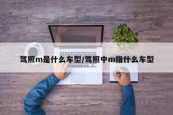 驾照m是什么车型/驾照中m指什么车型