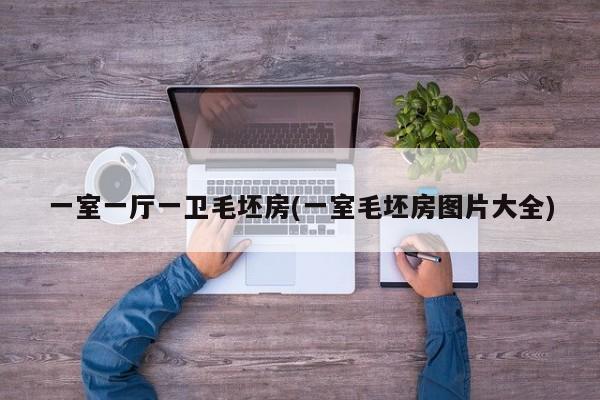 一室一厅一卫毛坯房(一室毛坯房图片大全)