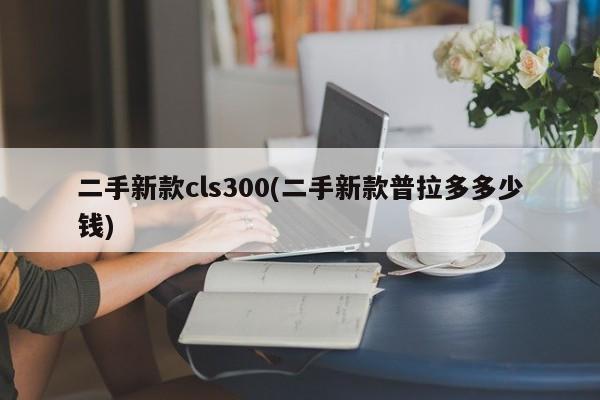 二手新款cls300(二手新款普拉多多少钱)
