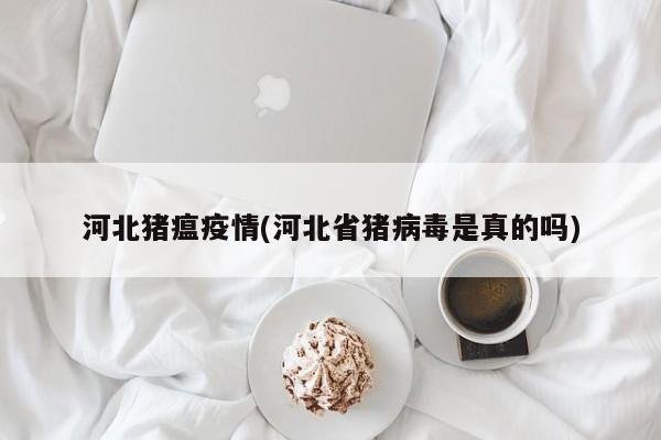 河北猪瘟疫情(河北省猪病毒是真的吗)