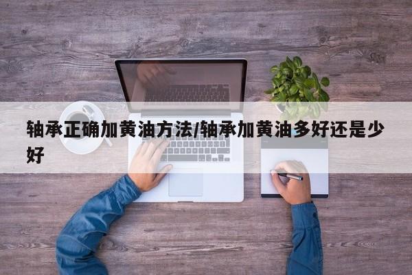 轴承正确加黄油方法/轴承加黄油多好还是少好