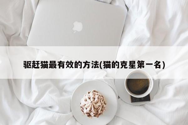 驱赶猫最有效的方法(猫的克星第一名)