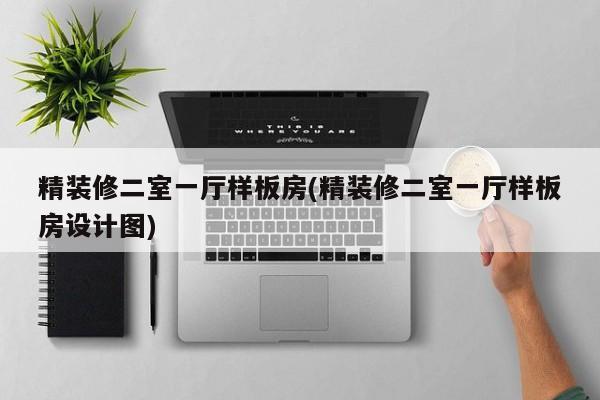 精装修二室一厅样板房(精装修二室一厅样板房设计图)