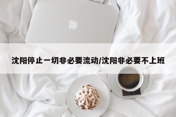 沈阳停止一切非必要流动/沈阳非必要不上班
