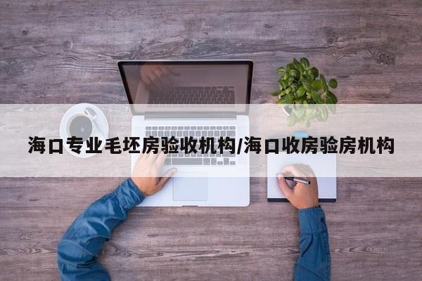 海口专业毛坯房验收机构/海口收房验房机构
