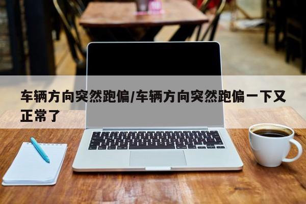 车辆方向突然跑偏/车辆方向突然跑偏一下又正常了