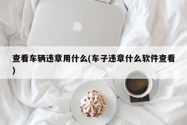 查看车辆违章用什么(车子违章什么软件查看)