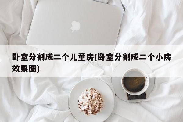 卧室分割成二个儿童房(卧室分割成二个小房效果图)
