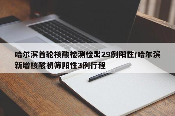 哈尔滨首轮核酸检测检出29例阳性/哈尔滨新增核酸初筛阳性3例行程