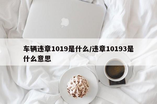 车辆违章1019是什么/违章10193是什么意思