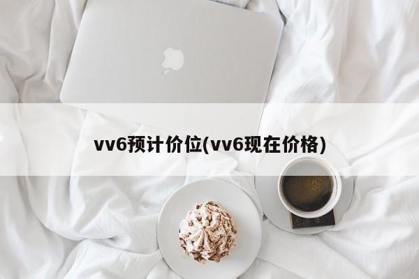 vv6预计价位(vv6现在价格)