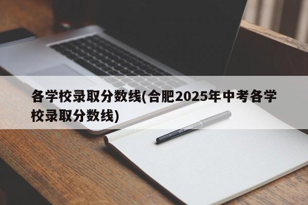 各学校录取分数线(合肥2025年中考各学校录取分数线)