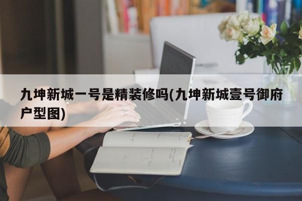 九坤新城一号是精装修吗(九坤新城壹号御府户型图)