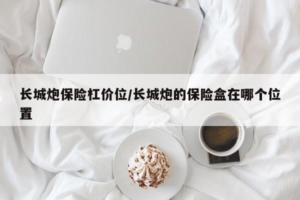 长城炮保险杠价位/长城炮的保险盒在哪个位置